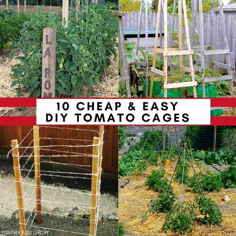 Tomato Cages 10 DIY Ideas