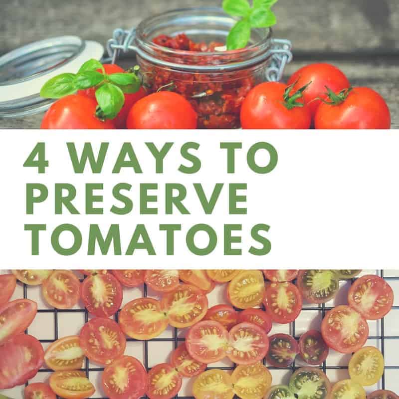 How To Preserve Tomatoes